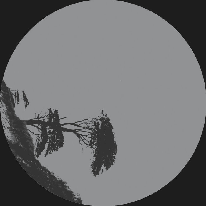 Record sleeve of the EP FLXK1 #1 (Momentum) by Felix K, released on Nullpunkt in 2018