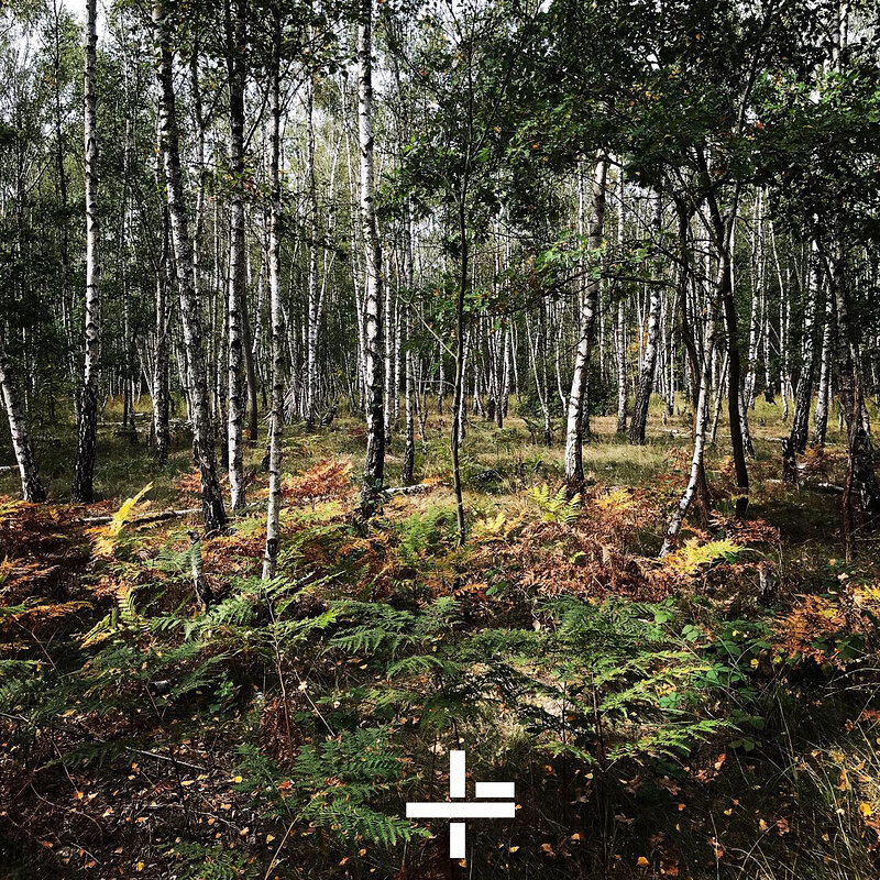 Retreat – Nine Forms Of Relaxation (Hard Wax)