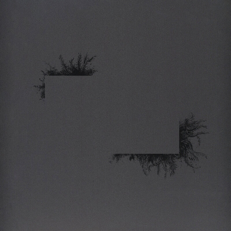 Felix K – Flowers Of Destruction (Hard Wax)